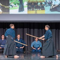 Japanfestival Berlin 2019, Kenjutsu: Kasumi no tachi Japanfestival Berlin 2019, Kenjutsu: Kasumi no tachi