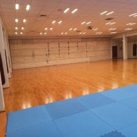Katori Wintercamp im Dojo Stara Wies