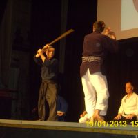 Katori Shinto-ryu auf dem Japanfestvial 2013