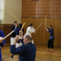 Kenjutsu Lehrgang in Berlin 2012