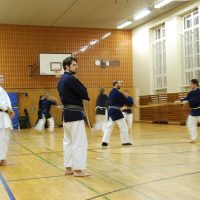 Kenjutsu Lehrgänge Berlin 2011