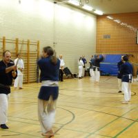 Kenjutsu Lehrgänge Berlin 2011
