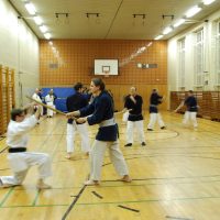Kenjutsu Lehrgänge Berlin 2011