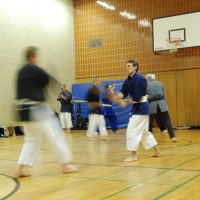 Kenjutsu Lehrgänge Berlin 2011