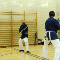 Kenjutsu Lehrgänge Berlin 2011