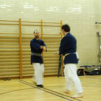 Kenjutsu Lehrgänge Berlin 2011