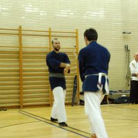 Kenjutsu Lehrgänge Berlin 2011