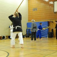 Kenjutsu Lehrgänge Berlin 2011