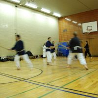 Kenjutsu Lehrgänge Berlin 2011