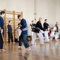 Kenjutsu Lehrgänge Berlin 2011