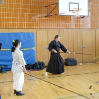 Kenjutsu Lehrgänge Berlin 2011