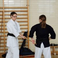 Kenjutsu Lehrgänge Berlin 2011
