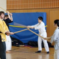 Kenjutsu Lehrgänge Berlin 2011