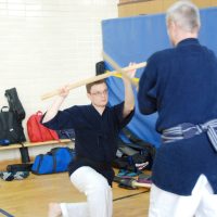 Kenjutsu Lehrgänge Berlin 2011