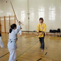Kenjutsu Lehrgänge Berlin 2011