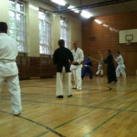 Kenjutsu Lehrgänge in Berlin 2014