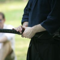 Katori Shinto-ryu Vorführung auf dem Sommerfest der DJG Berlin 2015