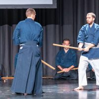 Japanfestival Berlin 2019, Kenjutsu: Nanatsu no tachi