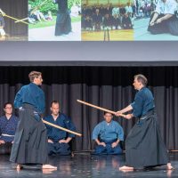 Japanfestival Berlin 2019, Kenjutsu: Kasumi no tachi