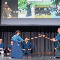 Japanfestival Berlin 2019, Bojutsu