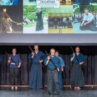 Japanfestival Berlin 2019, Iaijutsu