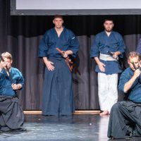 Japanfestival Berlin 2019, Omote no Iaijutsu