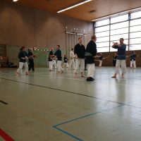 Bojutsu Einheit