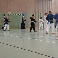 Bojutsu Einheit