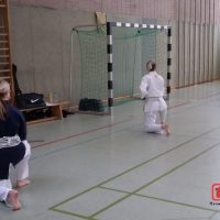Bojutsu Einheit