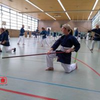 Bojutsu Einheit